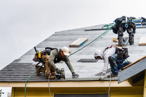 Professional Roofing technician working in Manson, WA